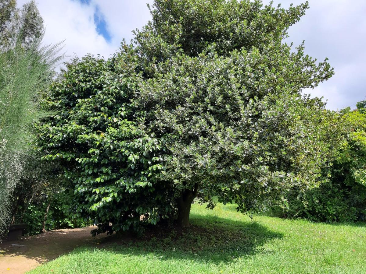 פורטו ואראס Eco Cabana מראה חיצוני תמונה